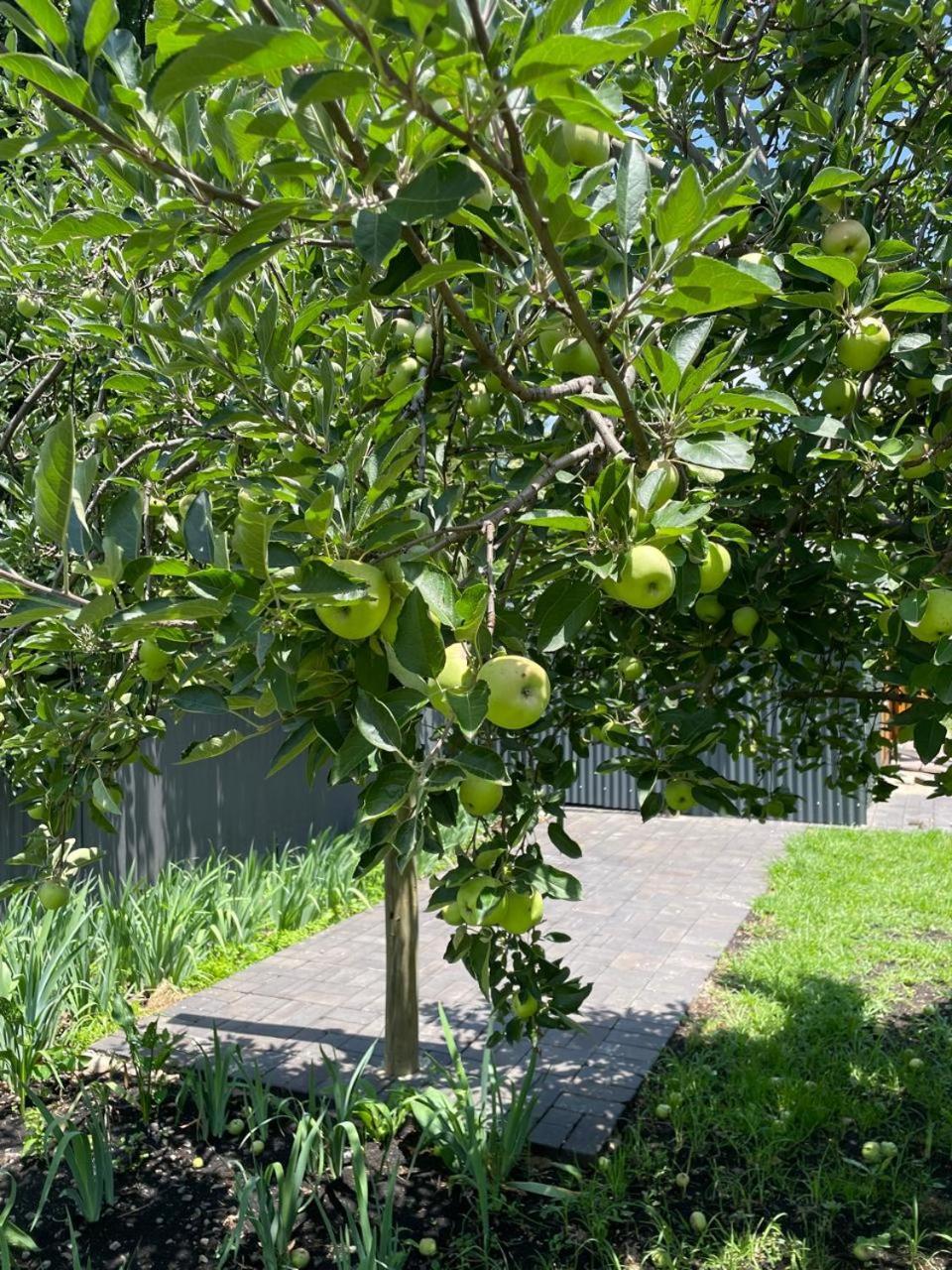 Periwinkle, Grove ,Acorn & Sage Cottages كلارينس المظهر الخارجي الصورة
