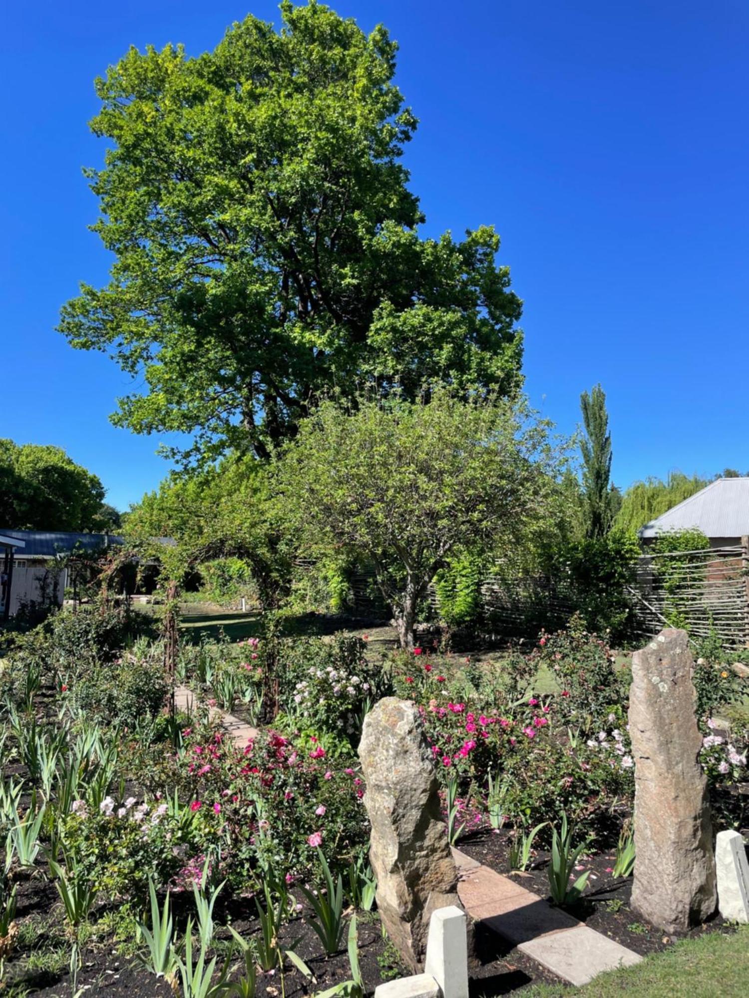 Periwinkle, Grove ,Acorn & Sage Cottages كلارينس المظهر الخارجي الصورة