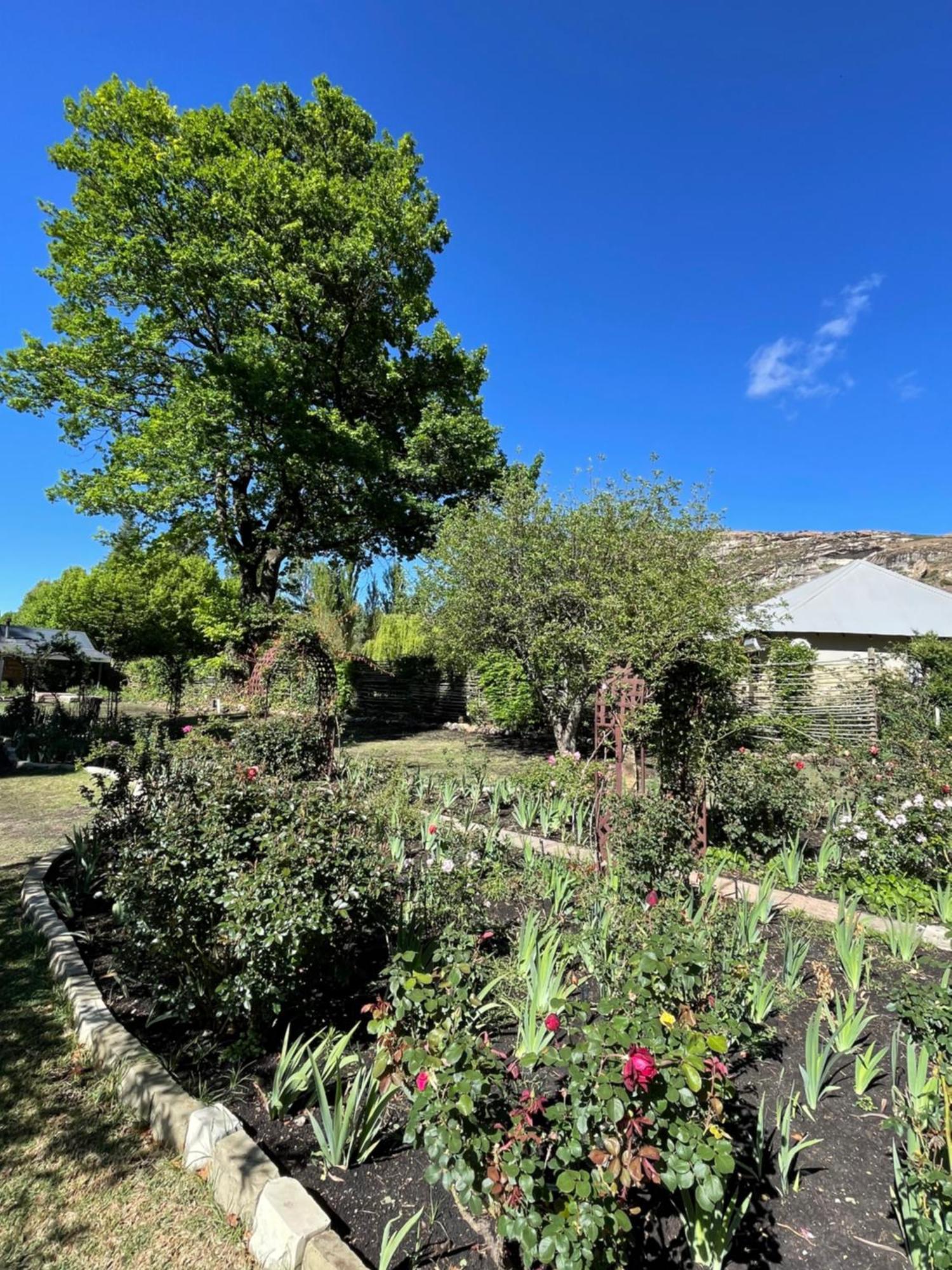 Periwinkle, Grove ,Acorn & Sage Cottages كلارينس المظهر الخارجي الصورة