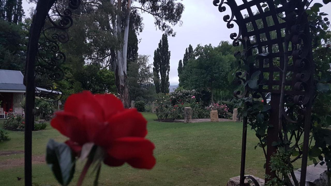 Periwinkle, Grove ,Acorn & Sage Cottages كلارينس المظهر الخارجي الصورة